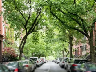 Hidden Gems in NYC Most Tourists Walk Right Past